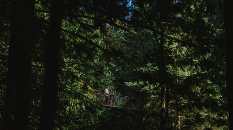 unique lynn canyon engagement portrait