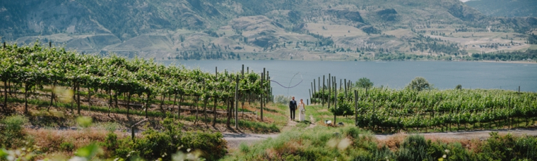best kelowna winery wedding venues