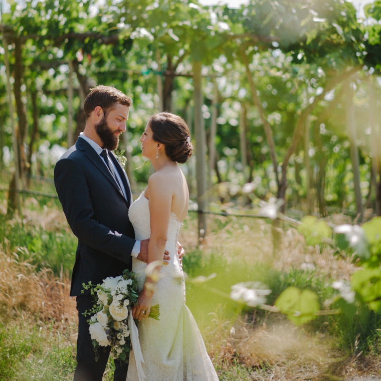 wedding portrait in penticton vineyard