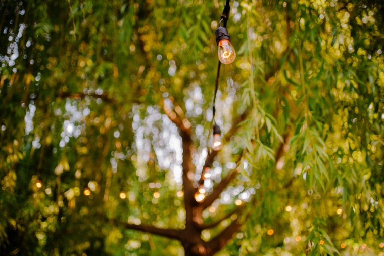 outdoor willow tree wedding decor