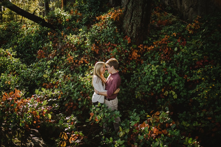 vancouver forest engagement